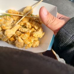 Dumpling King - Popcorn chicken not too bad.