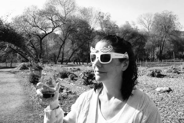 Truett Hurst Winery by null