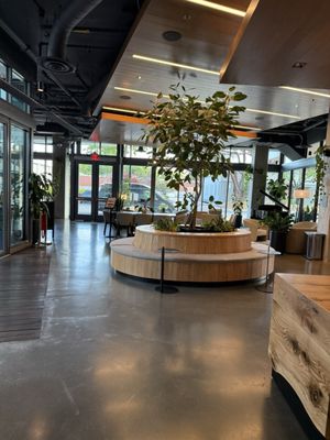 Shashi Hotel Mountain View Palo Alto by null