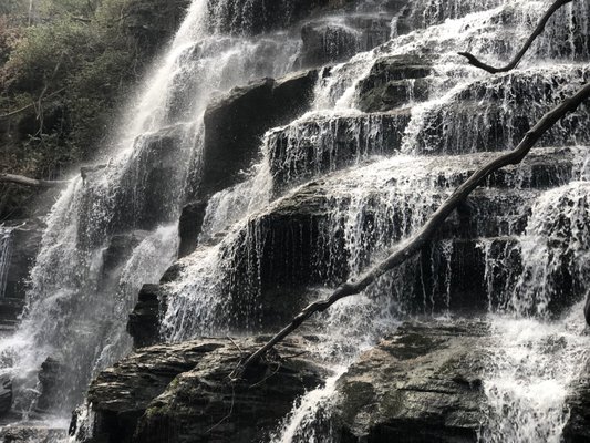 Yellow Branch Falls by null