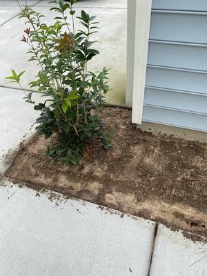 Landscaping/Mulching - Check out this before and after on a front of house garden bed that needed new Mulch. Landscaping/Mulching - Check out this before and after on a front of house garden bed that needed new Mulch.