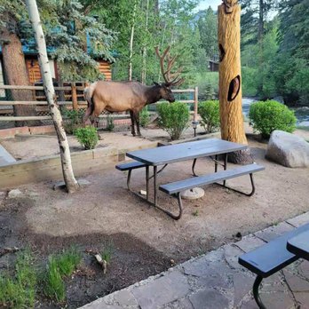 Swiftcurrent Lodge - Hotels Near Me - Estes Park, Colorado Swiftcurrent Lodge - Hotels Near Me - Estes Park, Colorado