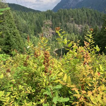 Buntzen Lake - Lakeview Trail - August 2026. - Lakes Near Me - Anmore, British Columbia