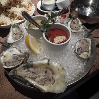 Catalina Kitchen And Bar - Oysters - Bars Near Me - Charlotte, North Carolina
