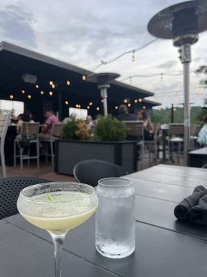 Feed and Folly by null