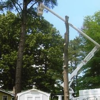 Tri-County Tree Service - Tree Services Near Me Tri-County Tree Service - Tree Services Near Me