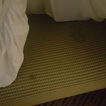 Quality Inn - Stains on the chair. I got a flat sheet to cover it so I didn't have to gag - Hotels Near Me - Greeneville, Tennessee