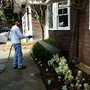 Photo of Love's Pest Control