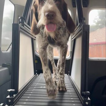 The Packin Method - Treadmill Workouts - Dog Walkers Near Me The Packin Method - Treadmill Workouts - Dog Walkers Near Me