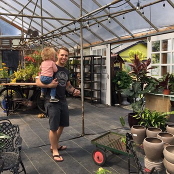 Zenith Holland Nursery - Indoor area for ferns, decor, and checking out. - Nurseries & Gardening Near Me - Des Moines, Washington Zenith Holland Nursery - Indoor area for ferns, decor, and checking out. - Nurseries & Gardening Near Me - Des Moines, Washington