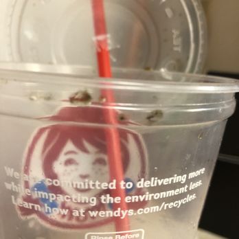 Wendy's - a plastic cup with a straw in it - Burgers Near Me - Sun City, California Wendy's - a plastic cup with a straw in it - Burgers Near Me - Sun City, California