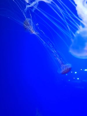 Discovery Place Science by null