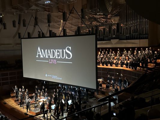 San Francisco Symphony by null