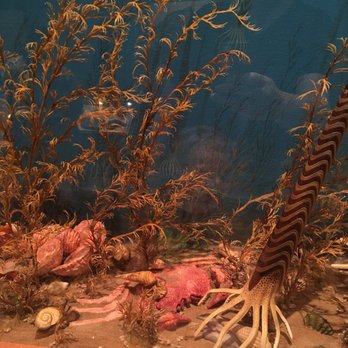 McClung Museum - Prehistoric diorama - Museums Near Me - Knoxville, Tennessee