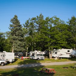Mt Desert Narrows Campground