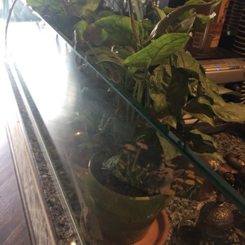 Oromo Cafe - Coffee & Tea Near Me - Chicago, Illinois