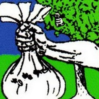 Bag-A-Bug Pest Control - Pest Control Near Me - Sussex, New Jersey Bag-A-Bug Pest Control - Pest Control Near Me - Sussex, New Jersey