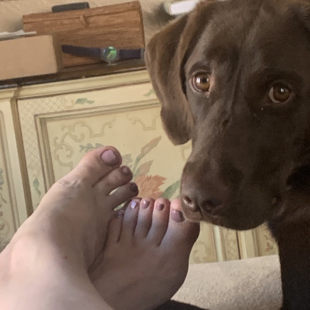 Pedicure Pedicure