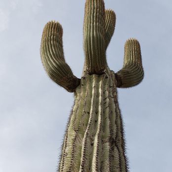 South Mountain Park - Parks Near Me - Phoenix, Arizona South Mountain Park - Parks Near Me - Phoenix, Arizona