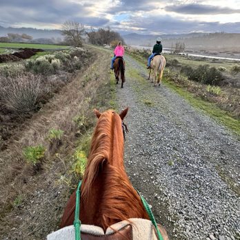 Korobi Stables - Horseback Riding Near Me - Fortuna, California Korobi Stables - Horseback Riding Near Me - Fortuna, California