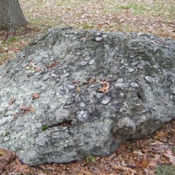 Dighton Rock State Park - Pudding Stone