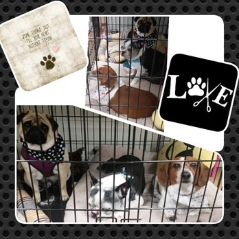 Becky's Paws and Claws - Pet Groomers Near Me - Greeley, Colorado Becky's Paws and Claws - Pet Groomers Near Me - Greeley, Colorado