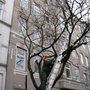 Photo of Jörg Fritz Garten- und Landschaftsbau