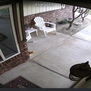 Robo Cam - Very sharp picture. - Security Systems Near Me Robo Cam - Very sharp picture. - Security Systems Near Me