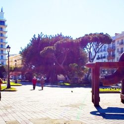 Paseo de Canalejas - Paseo de Canalejas, Cadiz 2-8-18