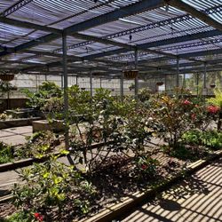 The Gardens at Lake Merritt