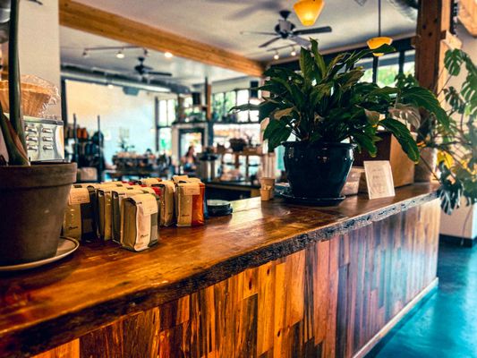 Albina Press by null