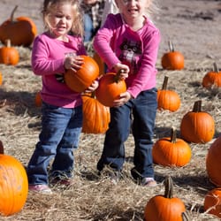 LaPorte Farms - Pumpkin Patch