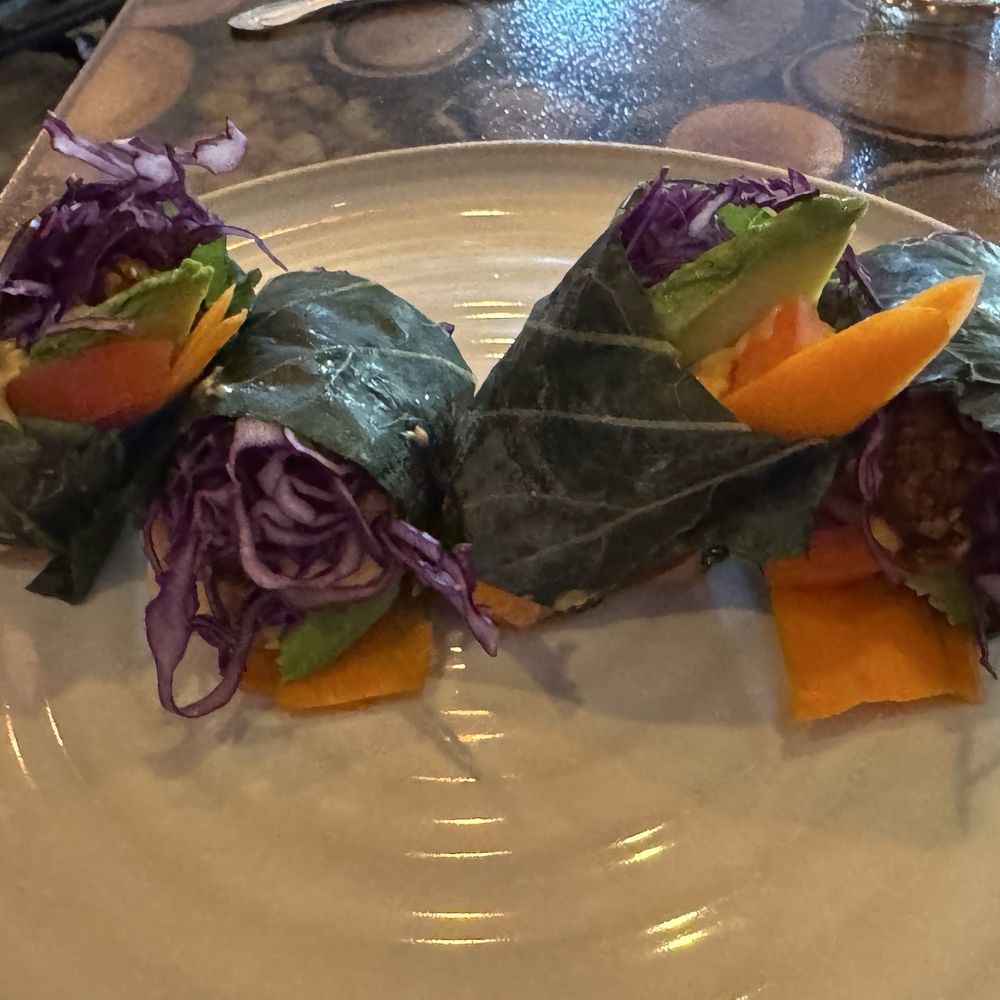 Green Zebra Cafe - Burrito - Juice Bars & Smoothies Near Me - Sarasota, Florida Green Zebra Cafe - Burrito - Juice Bars & Smoothies Near Me - Sarasota, Florida