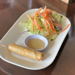 Lotus - Spring roll and salad (lunch special)