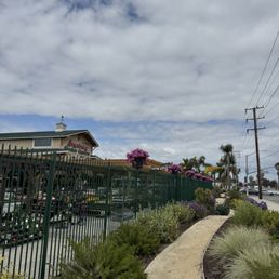 ARMSTRONG GARDEN CENTERS - Updated January 2026 - 72 Photos & 99