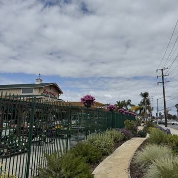 ARMSTRONG GARDEN CENTERS - Updated December 2025 - 71 Photos & 96