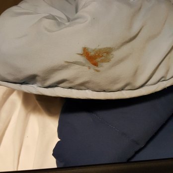 Cambie Hostel - Suspicious substance on bedding - my first night/morning in this bed - Hostels Near Me - Vancouver, British Columbia Cambie Hostel - Suspicious substance on bedding - my first night/morning in this bed - Hostels Near Me - Vancouver, British Columbia