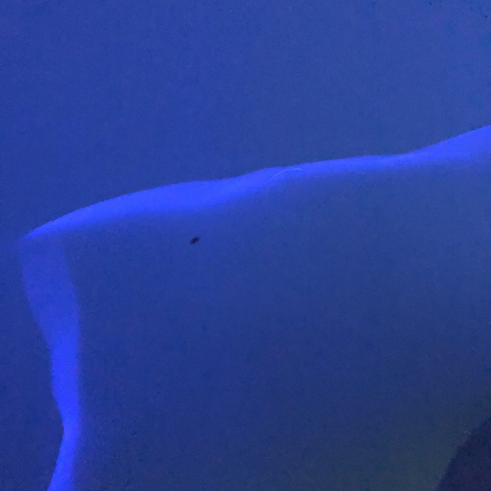 Himalayan Salt Cave Spa & Float - Black things floating in water. - Halotherapy Near Me - Englishtown, New Jersey Himalayan Salt Cave Spa & Float - Black things floating in water. - Halotherapy Near Me - Englishtown, New Jersey