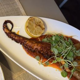 Octopus Octopus