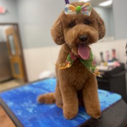 Camp Bow Wow Grooming