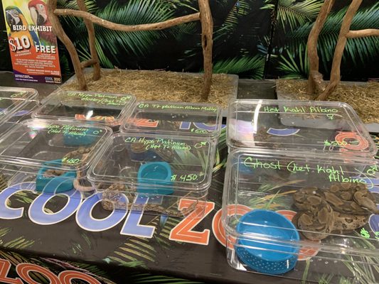 Michigan State Fair by null