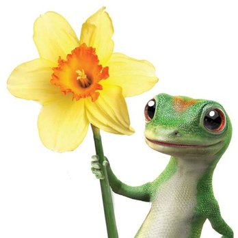 GEICO Insurance Agent - Spring in Eugene with the GECKO - Auto Insurance Near Me - Eugene, Oregon