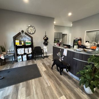 Apogee Animal Health - Lobby - Veterinarians Near Me - Sabetha, Kansas