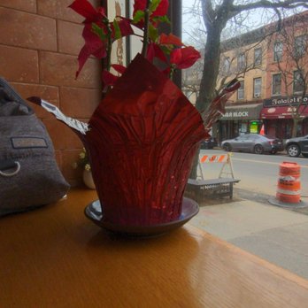 Myrtle Ave. Bagels - Poinsettia post Christmas - Bagels Near Me - Brooklyn, New York Myrtle Ave. Bagels - Poinsettia post Christmas - Bagels Near Me - Brooklyn, New York