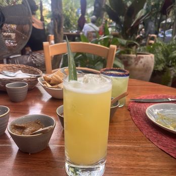 Amate 38 - Yucatan Near Me - Playa del Carmen, ROO Amate 38 - Yucatan Near Me - Playa del Carmen, ROO