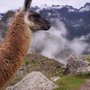 Inka Moving and Hauling