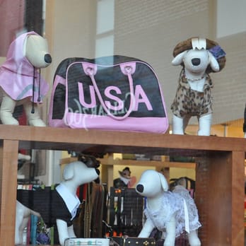 Yap Stores - A part of the window display - Pet Stores Near Me - San Francisco, California Yap Stores - A part of the window display - Pet Stores Near Me - San Francisco, California