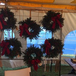 Mike's Christmas Trees