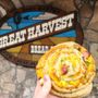 Photo of Great Harvest