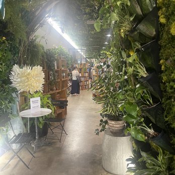 Lost Books - Entry - Vinyl Records Near Me - Montrose, California
